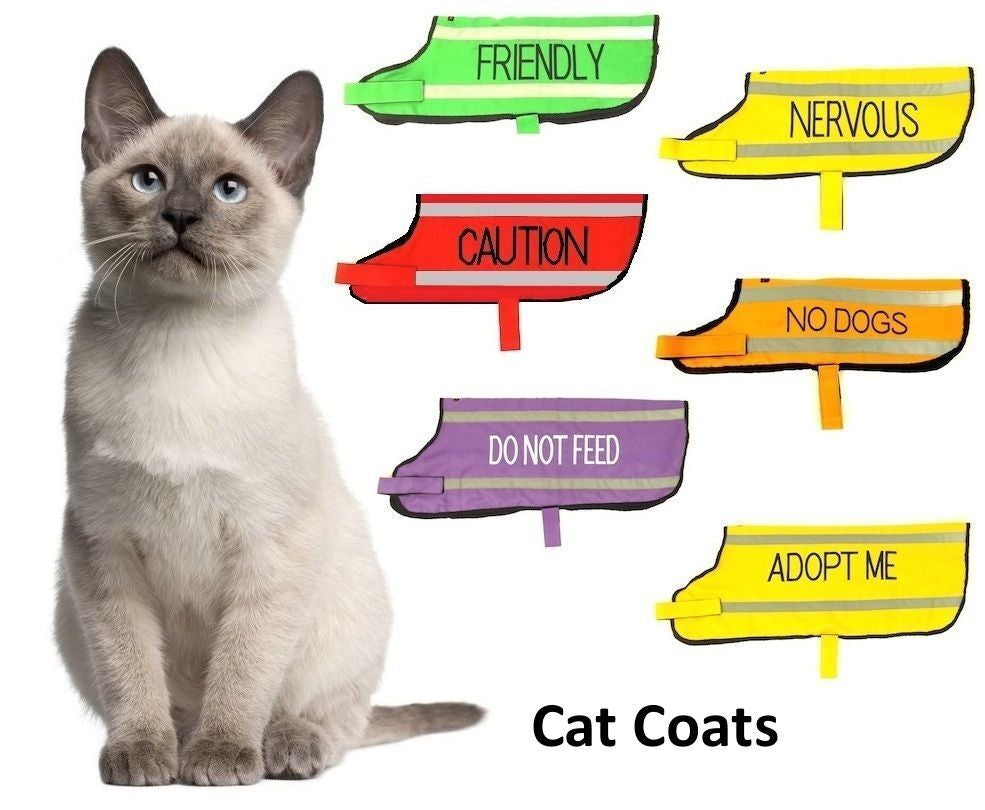 Cat Harness Waterproof Padded Adjustable Front & Back Ring S M L XL Snug Cosy