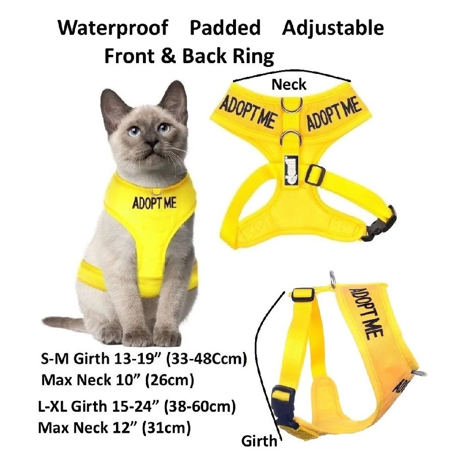 Cat Waterproof Padded Adjustable Harness S-XL