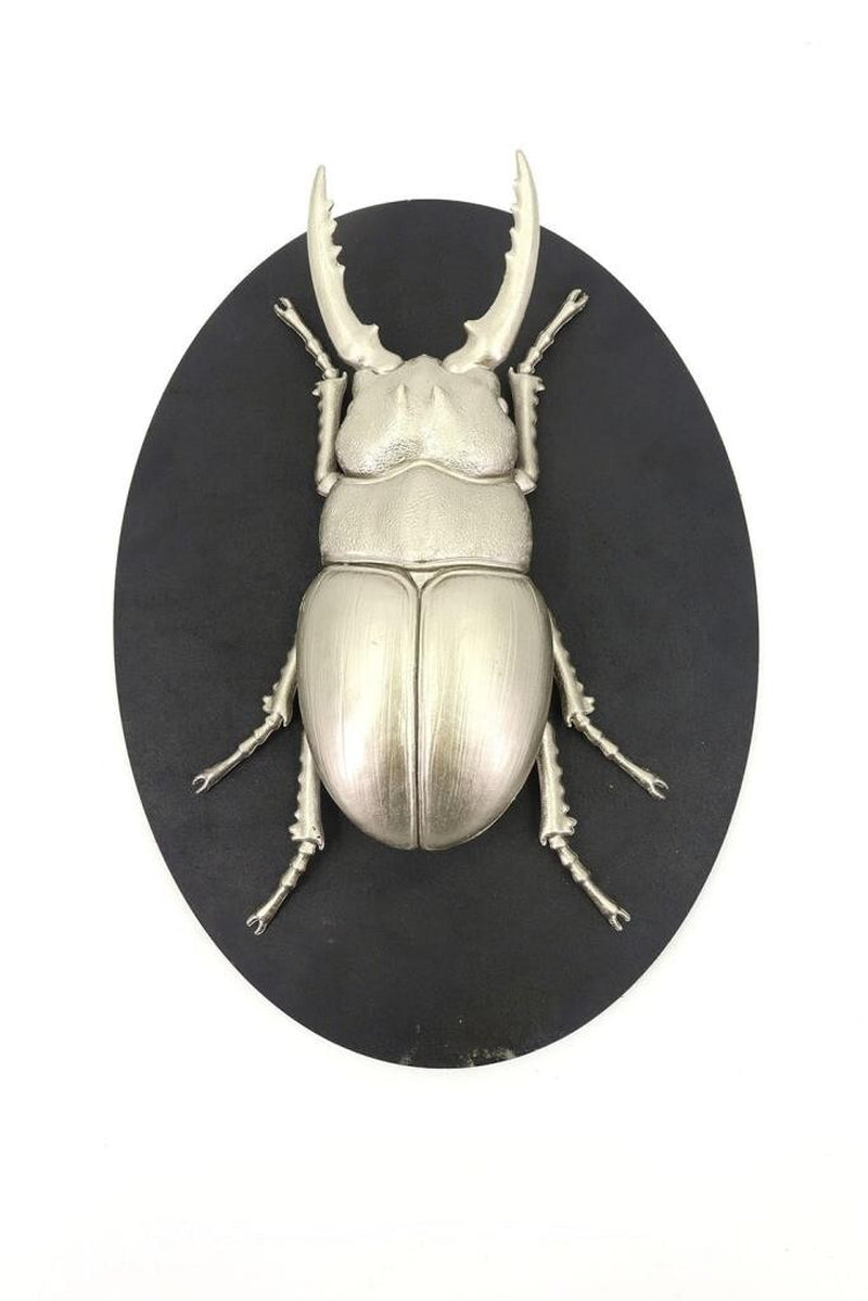 Insect Wall Decor Art on Wood Board, Nature-Inspire