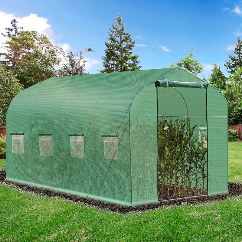 Walk in Polytunnel Greenhouse | 4 x 2 M - Cints and Home