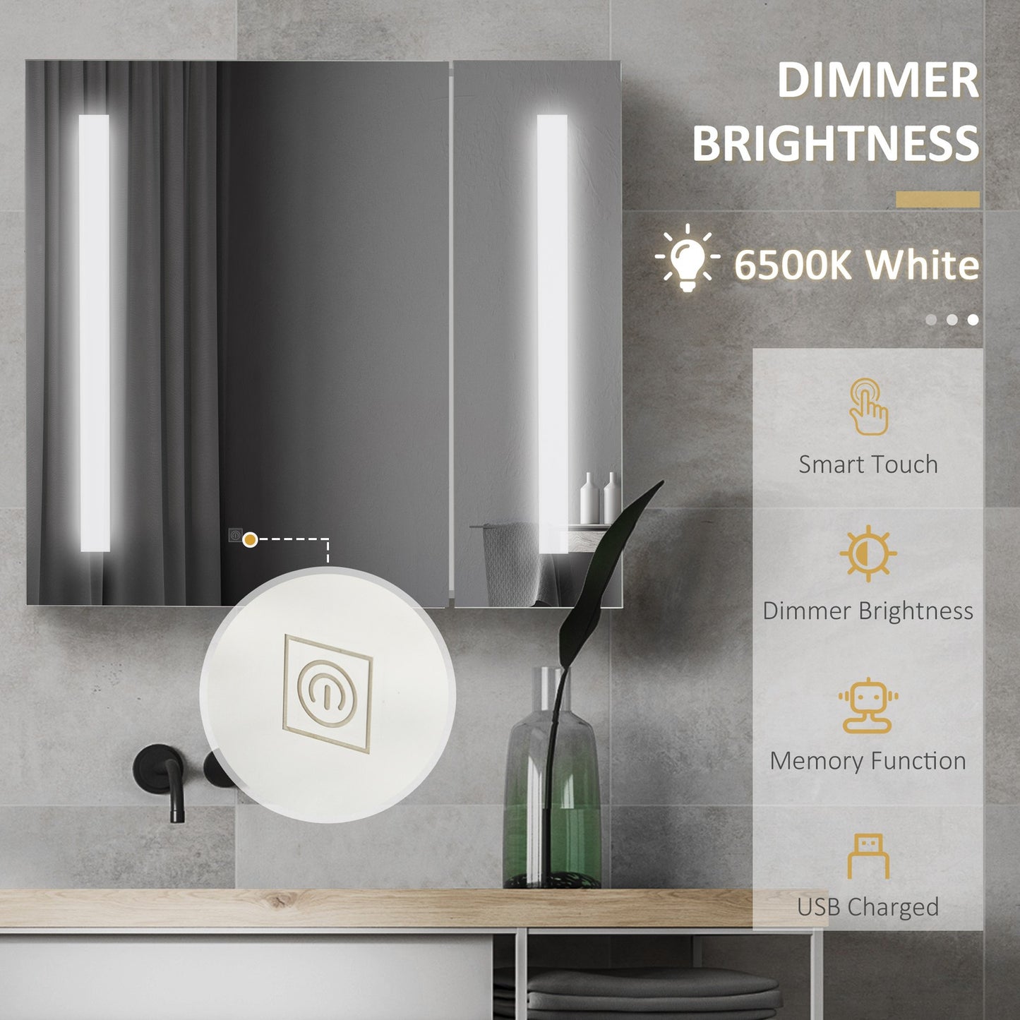 LED Illuminated Bathroom Mirror Cabinet with Lights, Touch Switch, Wall Mounted