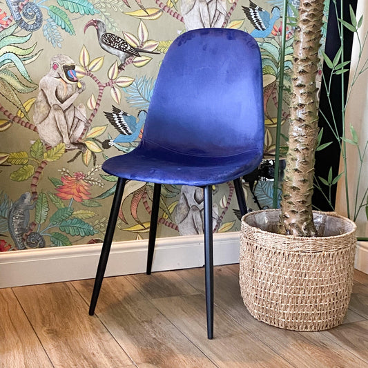 Blue Velvet Dining Chair Blue Padded Metal Legs for Kitchen Chair Home Decor