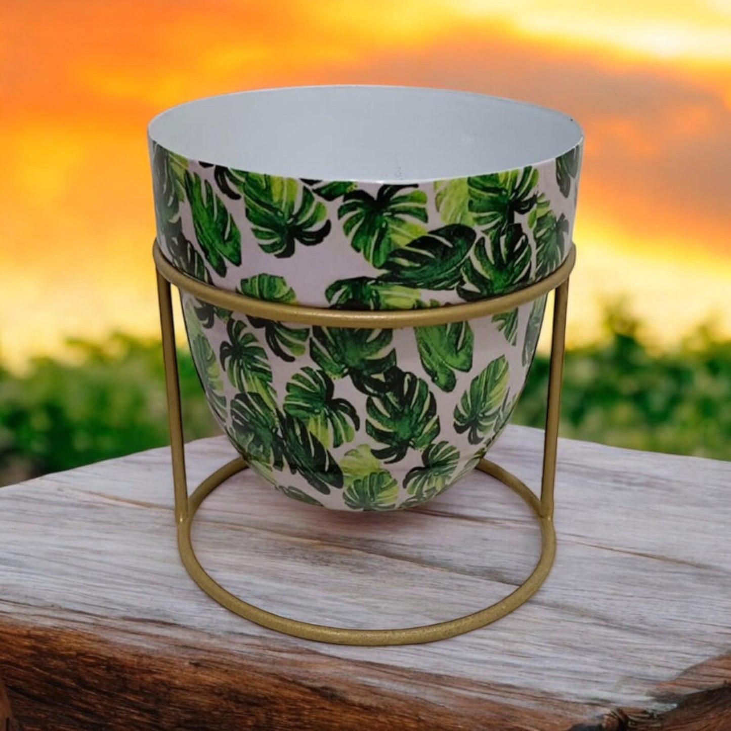 Metal Iron Green Flower Plant Pot Display on Stand Shelf Garden Indoor 13Cm Tall