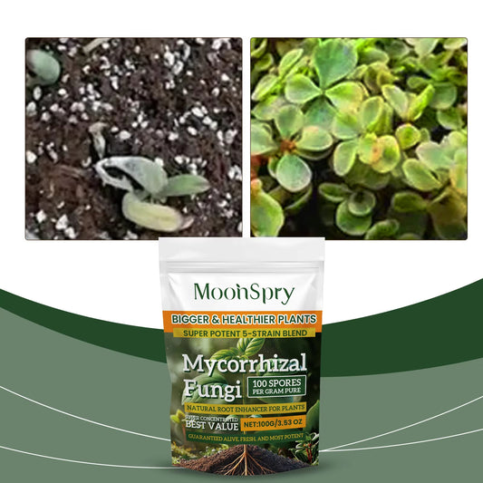 Boost Root Growth – Organic Plant Nutrition Powder