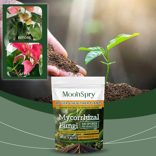 Boost Root Growth – Organic Plant Nutrition Powder