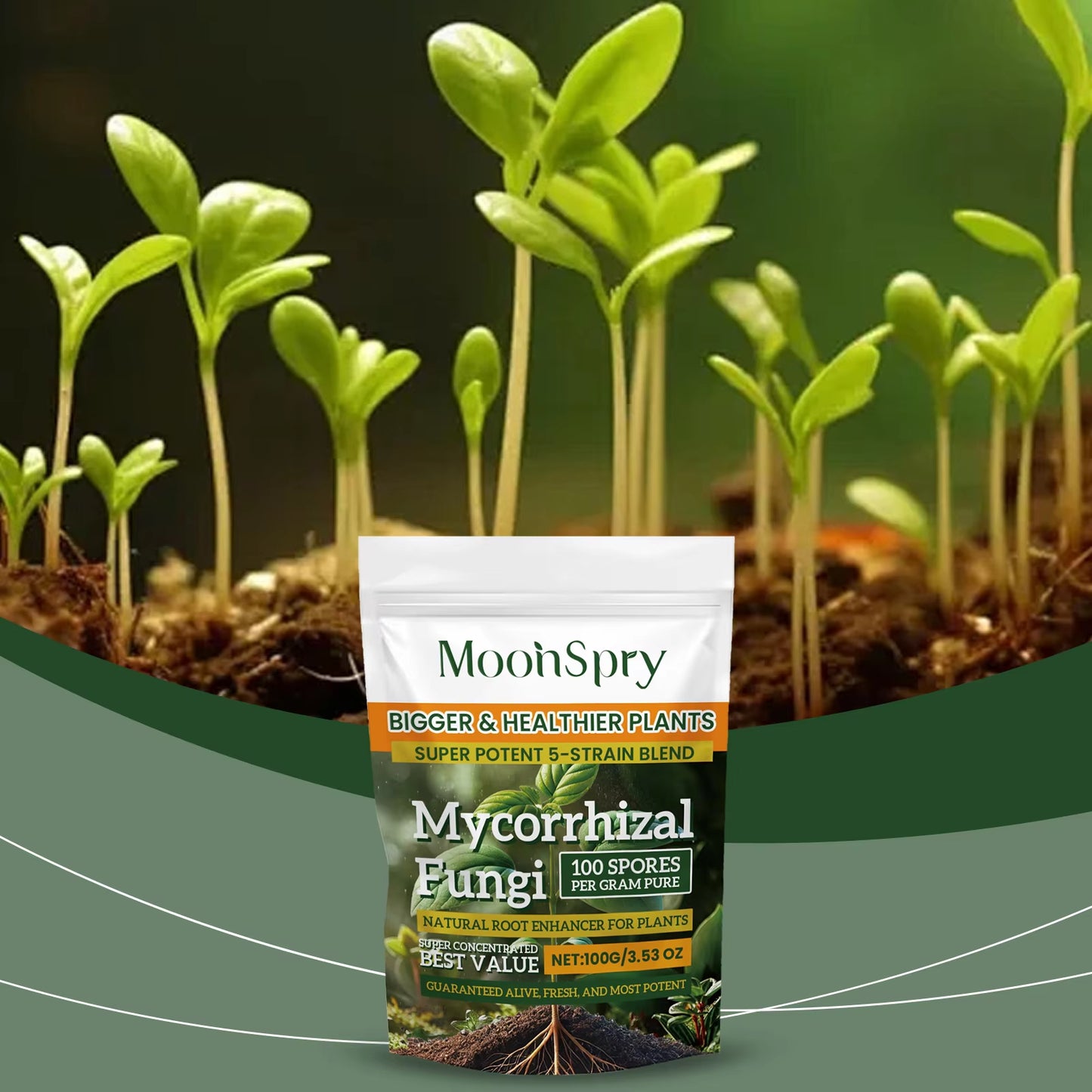 Boost Root Growth – Organic Plant Nutrition Powder