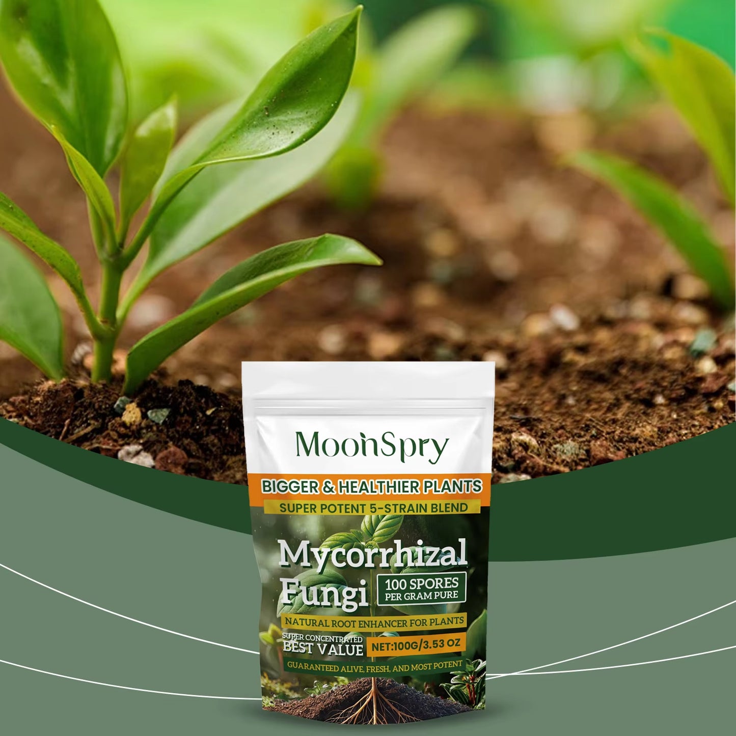 Boost Root Growth – Organic Plant Nutrition Powder