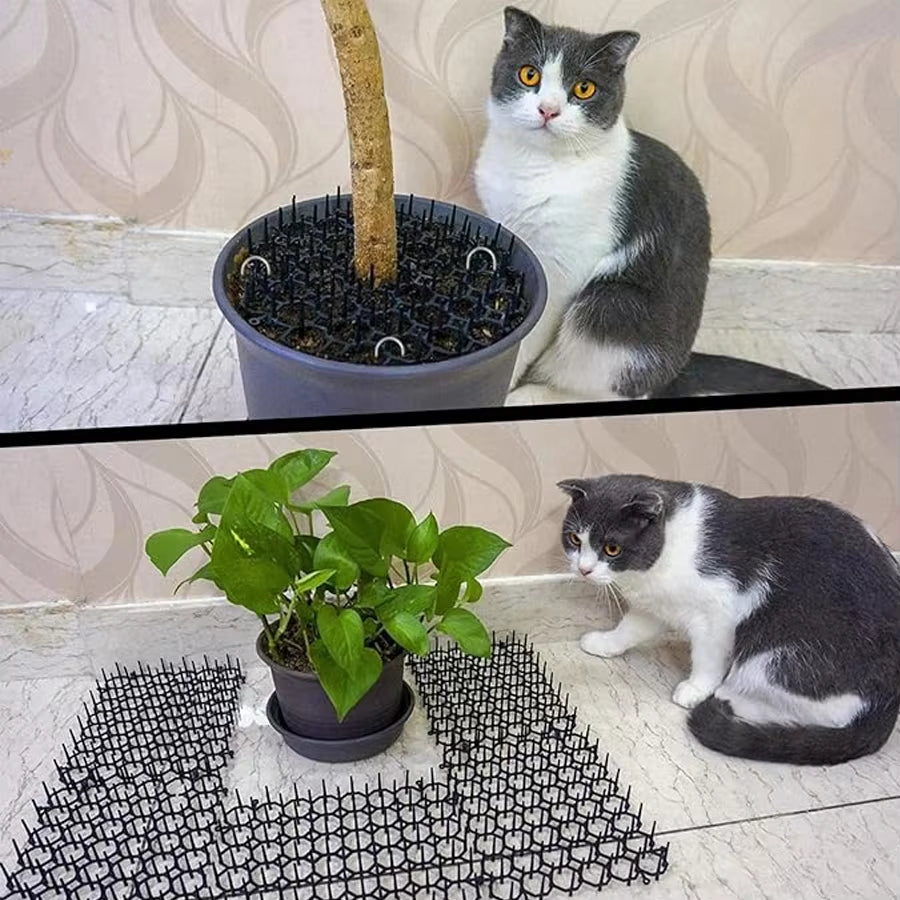 Keep Pets Away – Anti-Cat Spike Mat