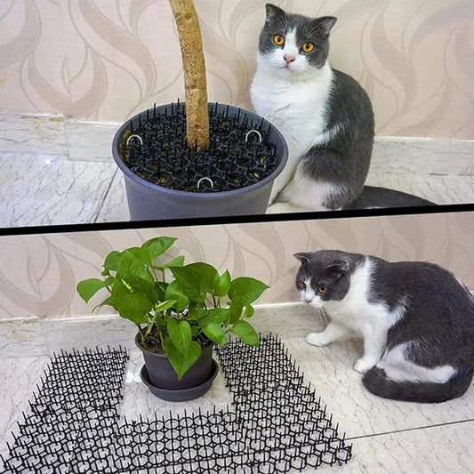 Keep Pets Away – Anti-Cat Spike Mat