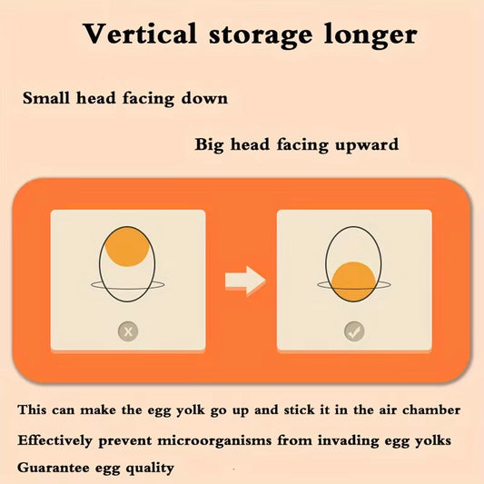 Kitchen Egg Storage Box