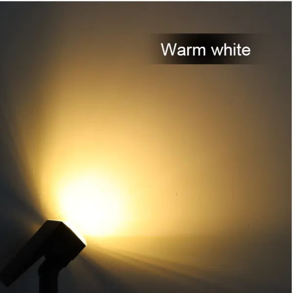 Light Up Your Garden – Solar LED Floodlight