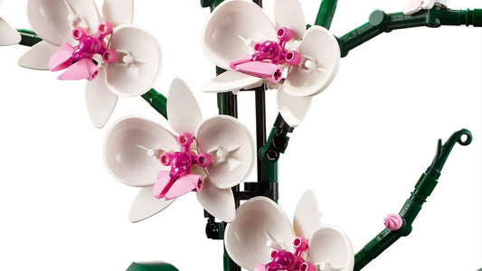 Orchid Bouquet Building Blocks Set 711PCS Compatible with LEGO