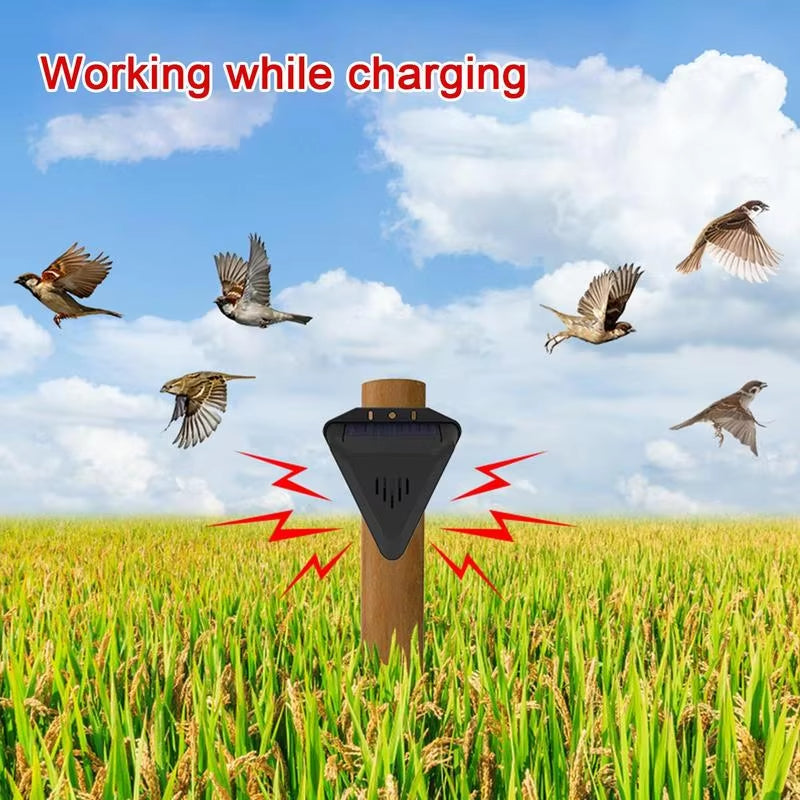 Protect Your Crops – Solar Bird Repeller