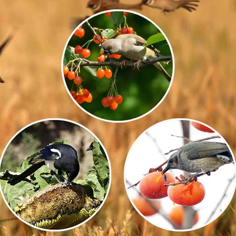 Protect Your Crops – Solar Bird Repeller