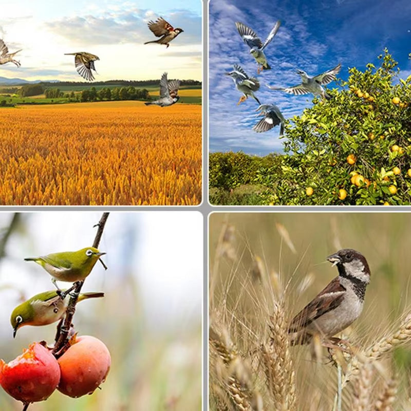 Protect Your Crops – Solar Bird Repeller