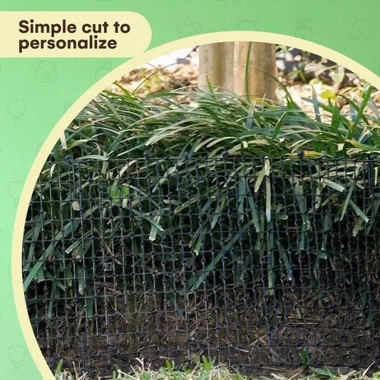 Protect Your Plants – Anti-Cat Spike Mat