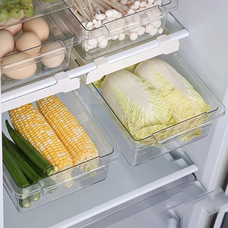 Refrigerator Drawer Style Food Storage Box