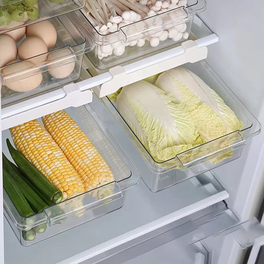 Refrigerator Drawer Style Food Storage Box