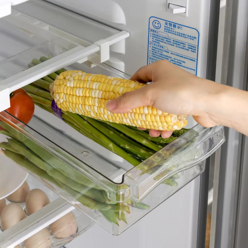 Refrigerator Drawer Style Food Storage Box