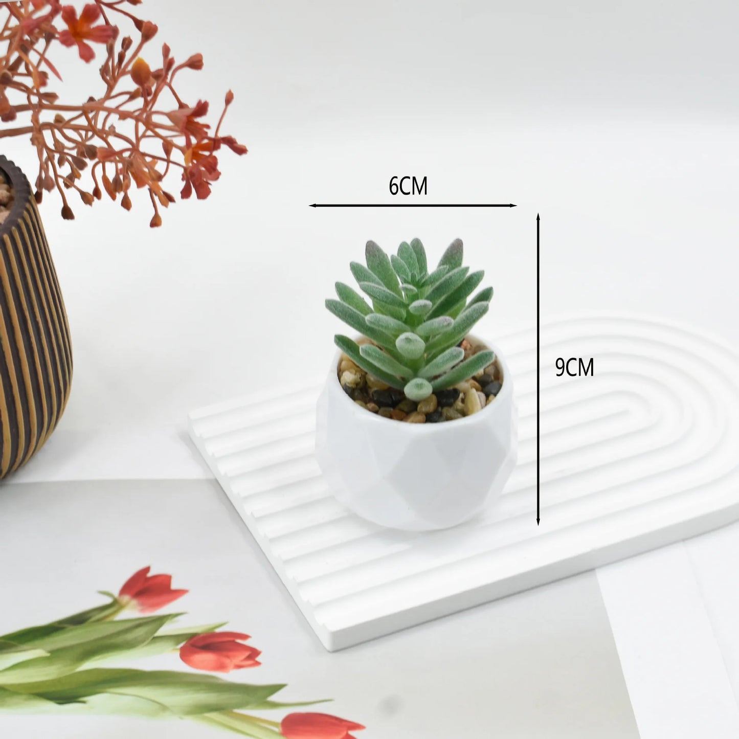 Artificial Succulent Plants in Pots – Decorative Faux Cactus & Succulent Set