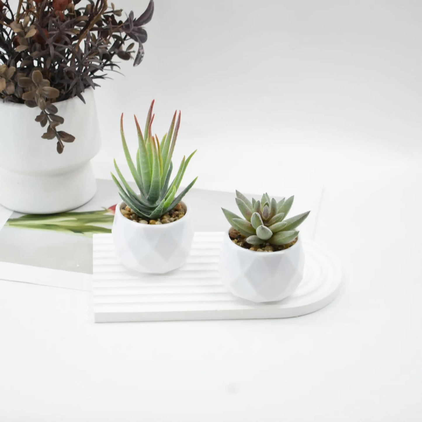 Mini Artificial Succulent Plants with Pots – Realistic Artificial Cactus Bonsai for Home & Office Décor | Stylish Low-Maintenance Indoor Plants