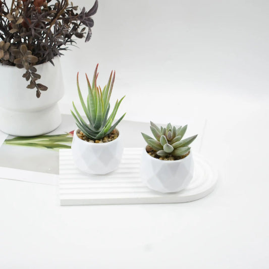 Mini Artificial Succulent Plants with Pots – Realistic Artificial Cactus Bonsai for Home & Office Décor | Stylish Low-Maintenance Indoor Plants