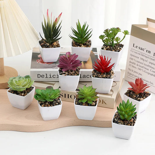 Artificial Succulent Plants in Pots – Decorative Faux Cactus & Succulent Set