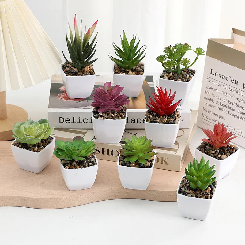 Decorative Faux Cactus & Succulent Plants in Pots