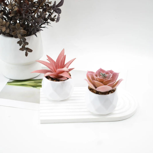 Artificial Succulent Plants in Pots – Decorative Faux Cactus & Succulent Set