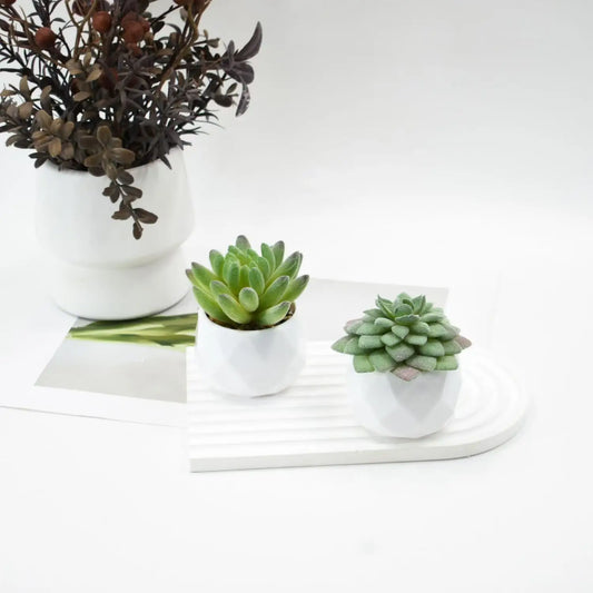 Mini Artificial Succulent Plants with Pots – Realistic Artificial Cactus Bonsai for Home & Office Décor | Stylish Low-Maintenance Indoor Plants