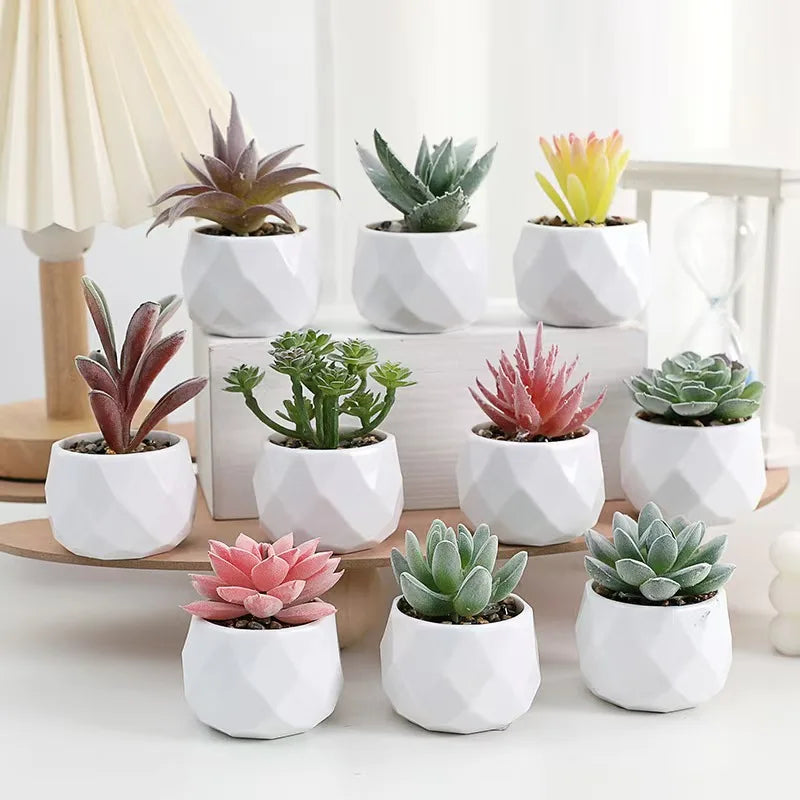 Mini Artificial Succulent Plants with Pots – Realistic Artificial Cactus Bonsai for Home & Office Décor | Stylish Low-Maintenance Indoor Plants