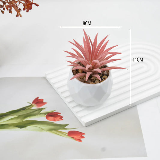 Artificial Succulent Plants in Pots – Decorative Faux Cactus & Succulent Set