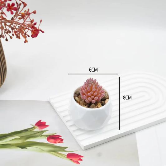 Mini Artificial Succulent Plants with Pots – Realistic Artificial Cactus Bonsai for Home & Office Décor | Stylish Low-Maintenance Indoor Plants