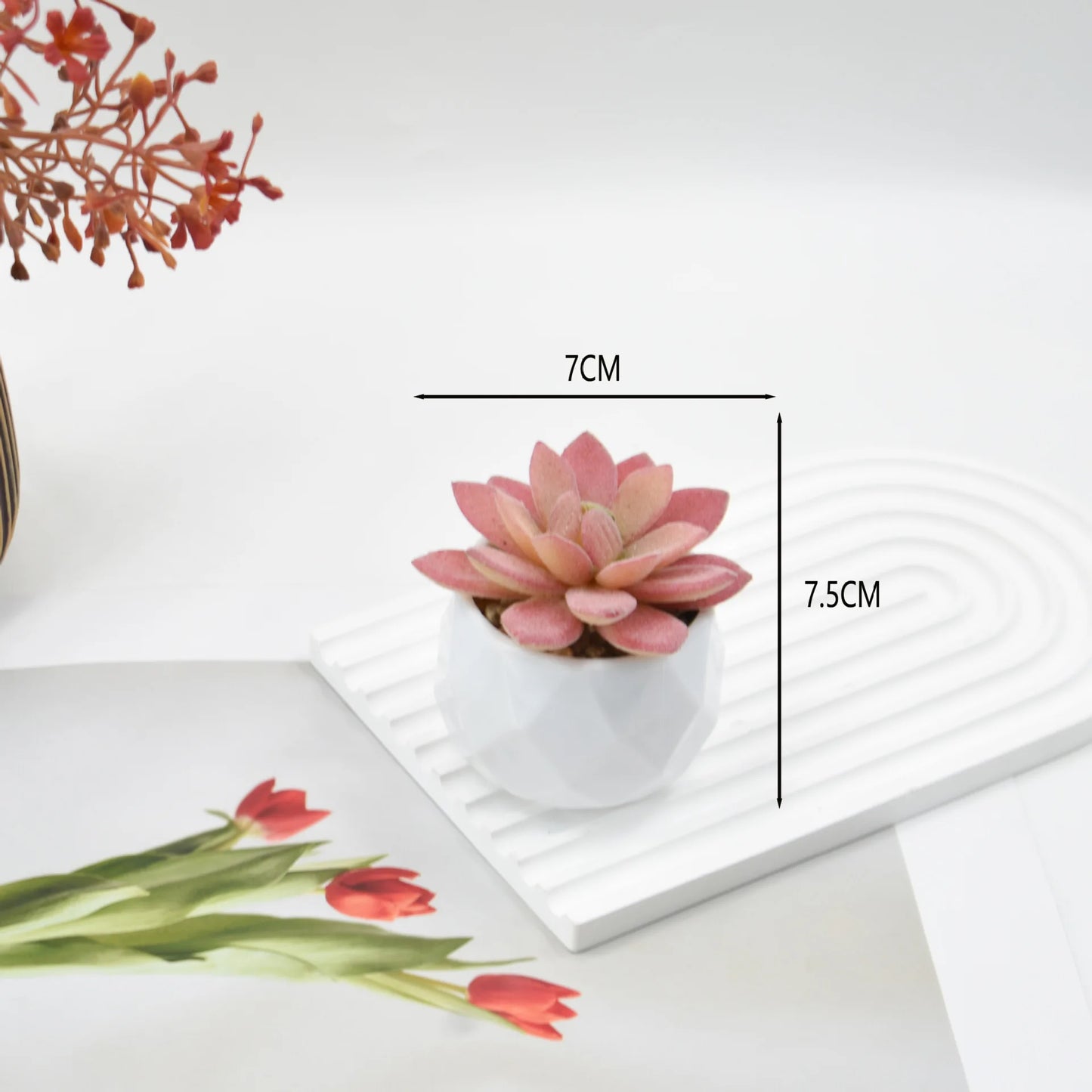 Mini Artificial Succulent Plants with Pots – Realistic Artificial Cactus Bonsai for Home & Office Décor | Stylish Low-Maintenance Indoor Plants