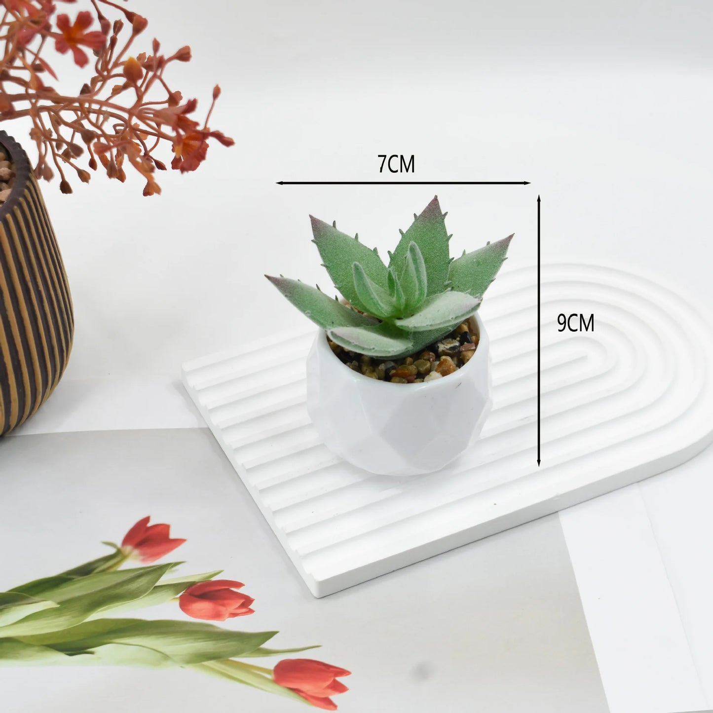 Artificial Succulent Plants in Pots – Decorative Faux Cactus & Succulent Set