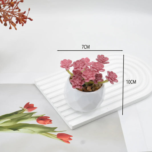 Artificial Succulent Plants in Pots – Decorative Faux Cactus & Succulent Set