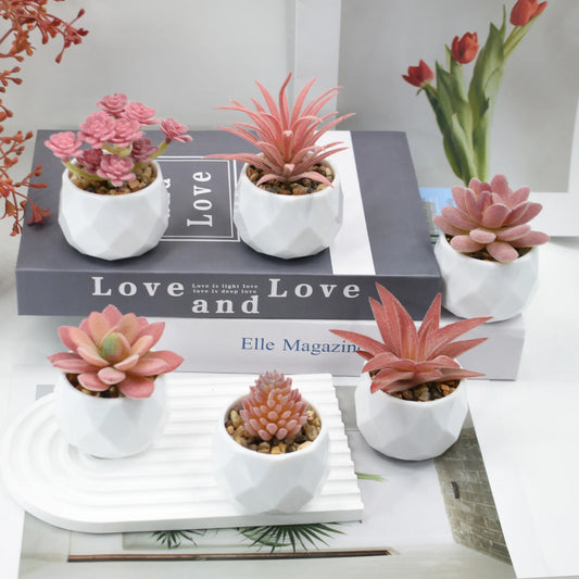 Mini Artificial Succulent Plants with Pots – Realistic Artificial Cactus Bonsai for Home & Office Décor | Stylish Low-Maintenance Indoor Plants