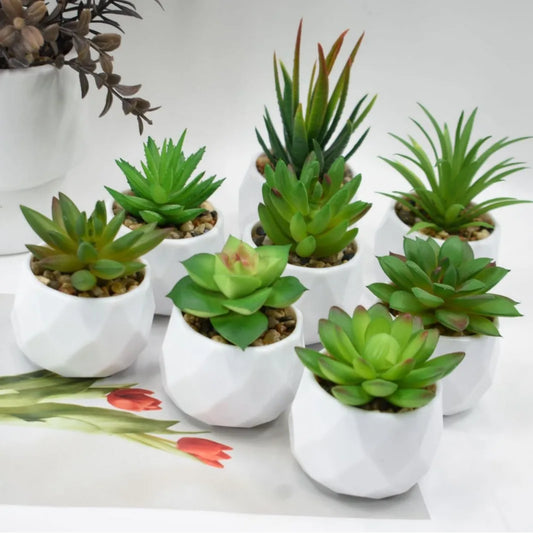 Artificial Succulent Plants in Pots – Decorative Faux Cactus & Succulent Set