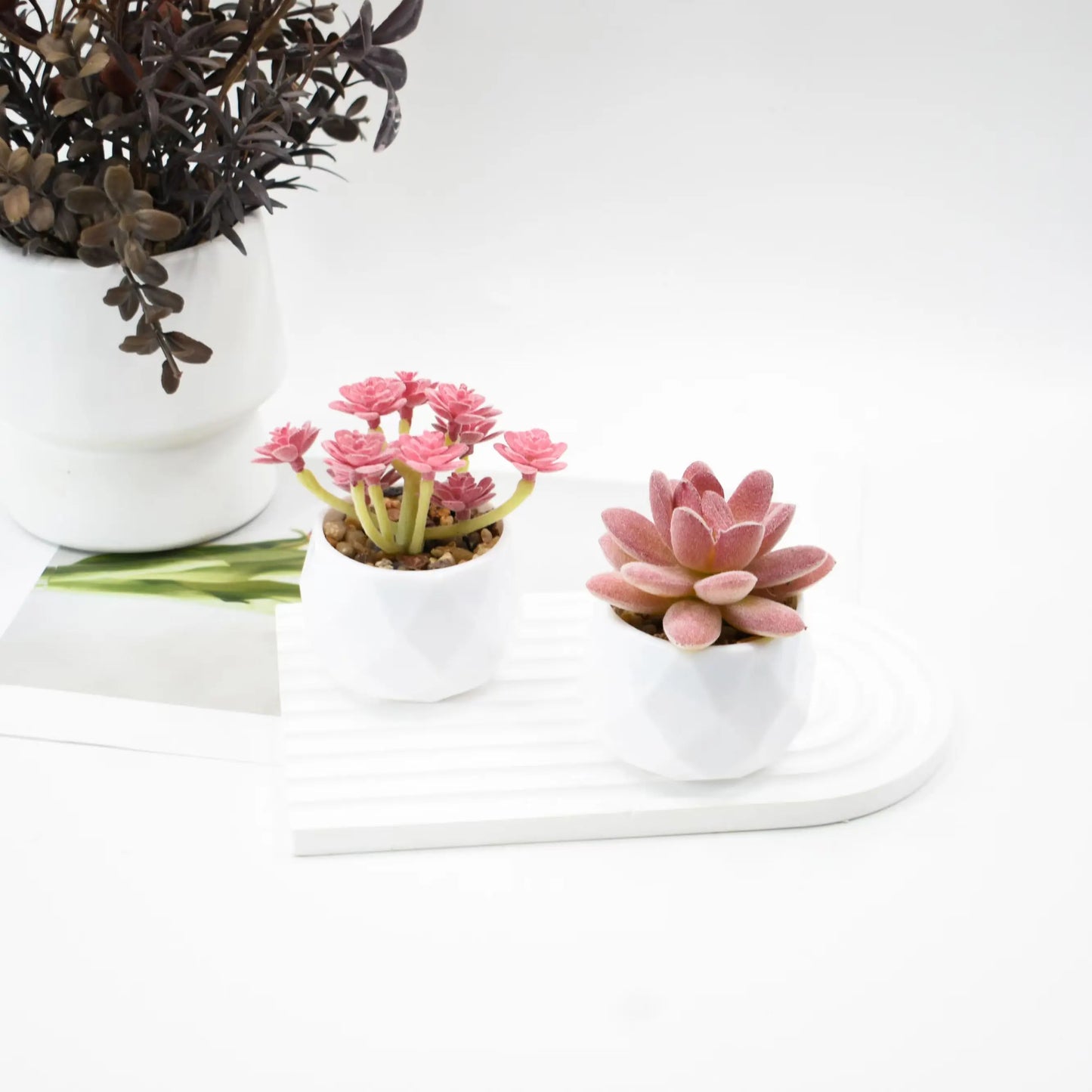 Artificial Succulent Plants in Pots – Decorative Faux Cactus & Succulent Set