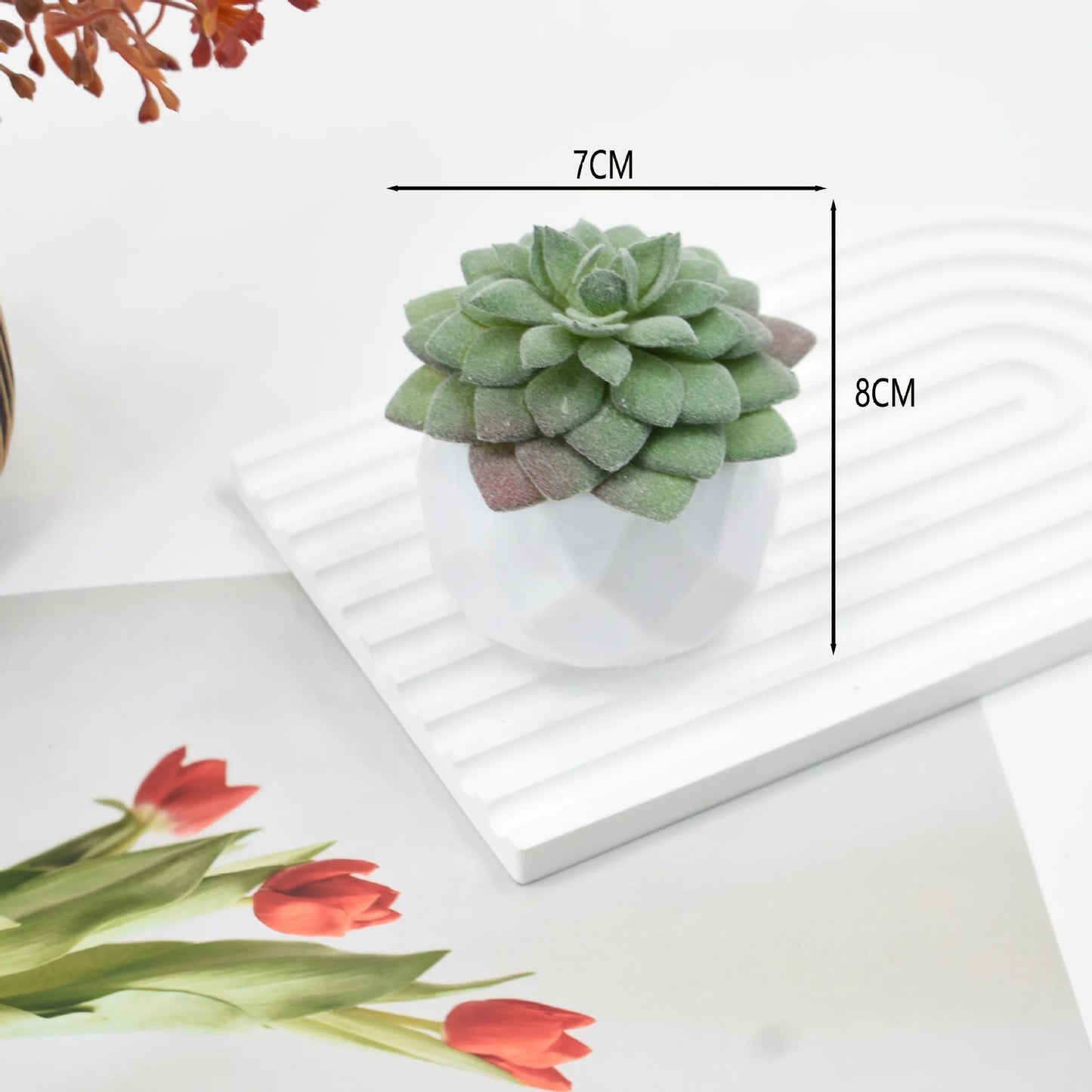Artificial Succulent Plants in Pots – Decorative Faux Cactus & Succulent Set