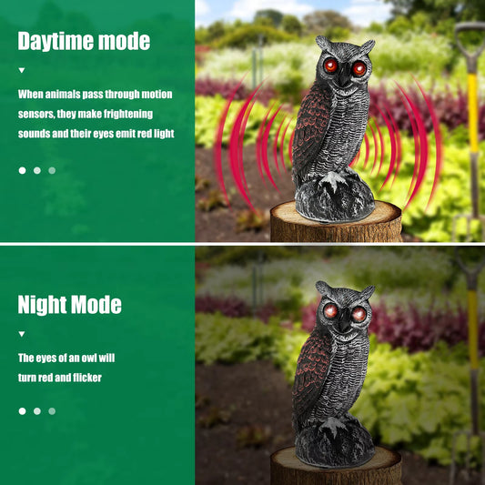 Scare Birds Away – Solar Owl Deterrent