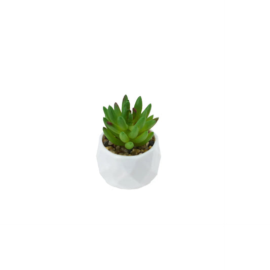 Artificial Succulent Plants in Pots – Decorative Faux Cactus & Succulent Set