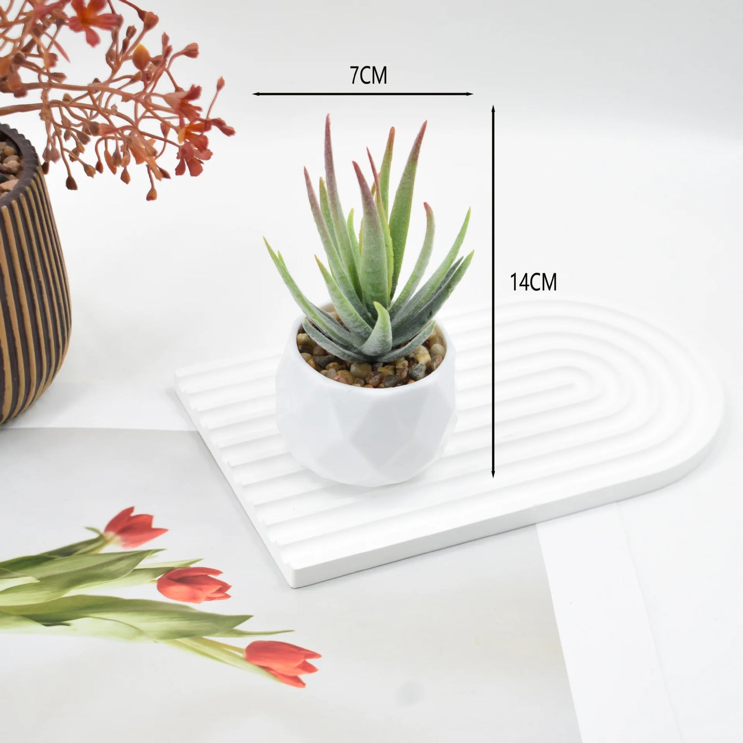 Mini Artificial Succulent Plants with Pots – Realistic Artificial Cactus Bonsai for Home & Office Décor | Stylish Low-Maintenance Indoor Plants
