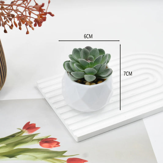 Mini Artificial Succulent Plants with Pots – Realistic Artificial Cactus Bonsai for Home & Office Décor | Stylish Low-Maintenance Indoor Plants