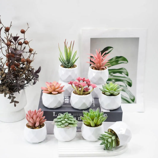 Artificial Succulent Plants in Pots – Decorative Faux Cactus & Succulent Set