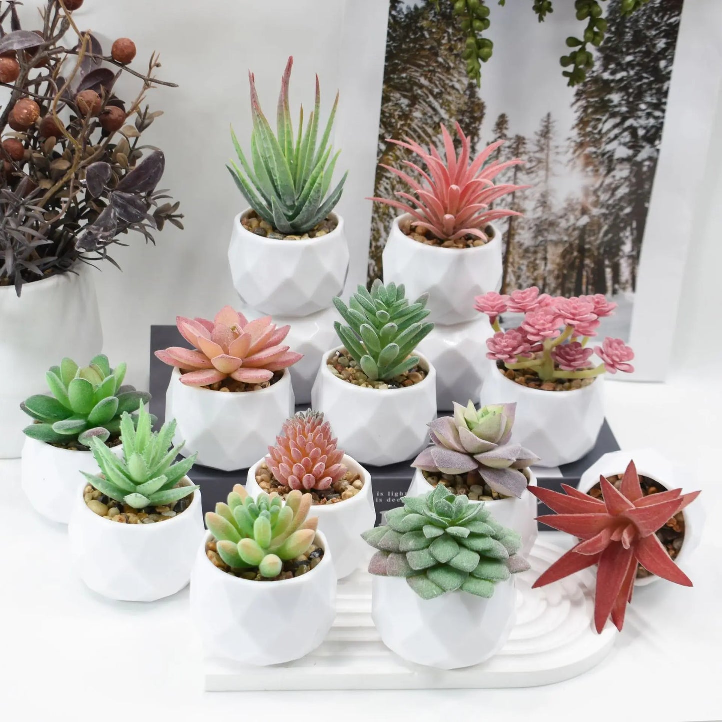 Artificial Succulent Plants in Pots – Decorative Faux Cactus & Succulent Set
