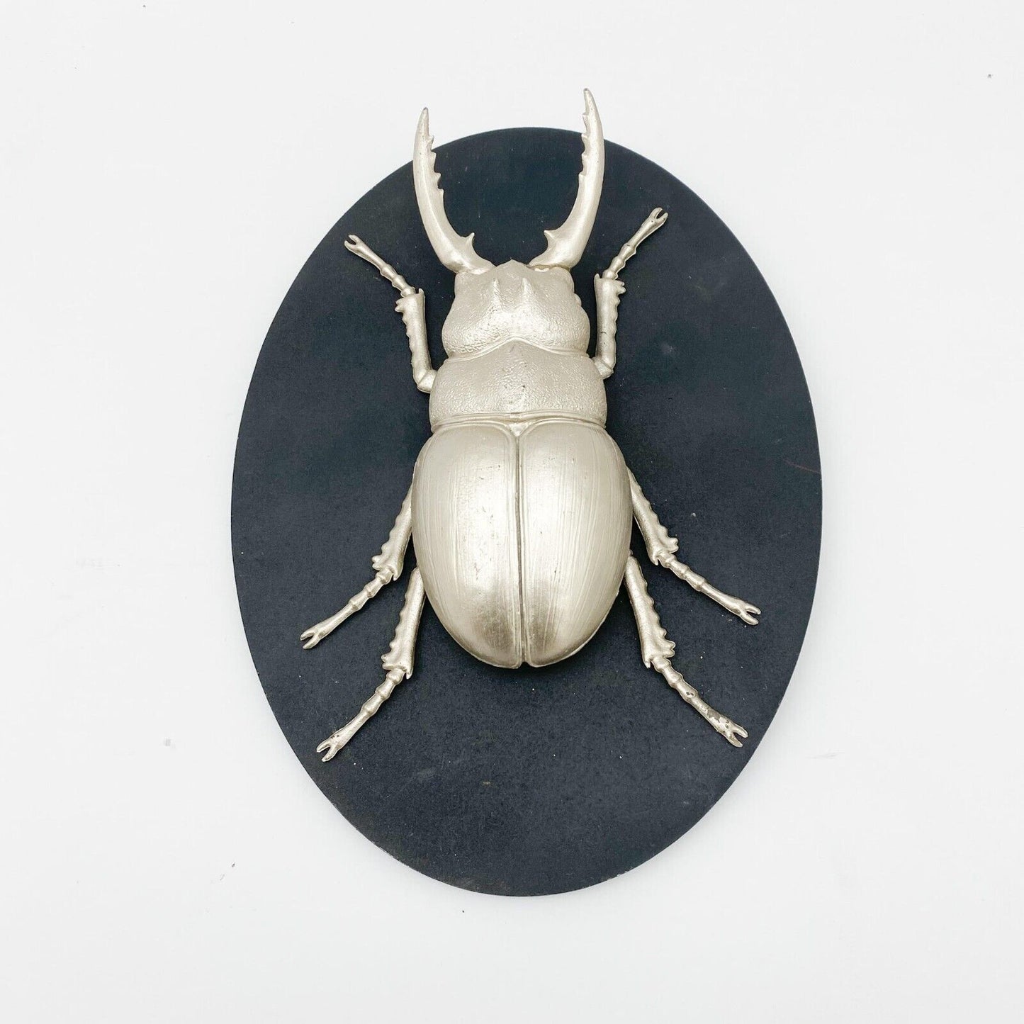 Insect Wall Decor Art on Wood Board, Nature-Inspire
