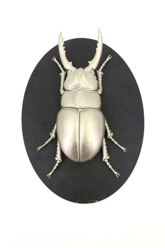 Insect Wall Decor Art on Wood Board, Nature-Inspire