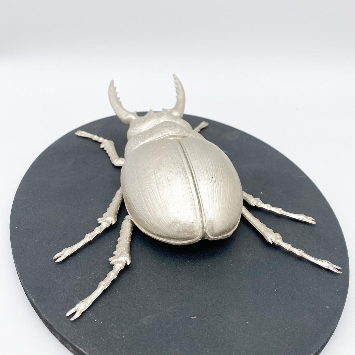 Insect Wall Decor Art on Wood Board, Nature-Inspire