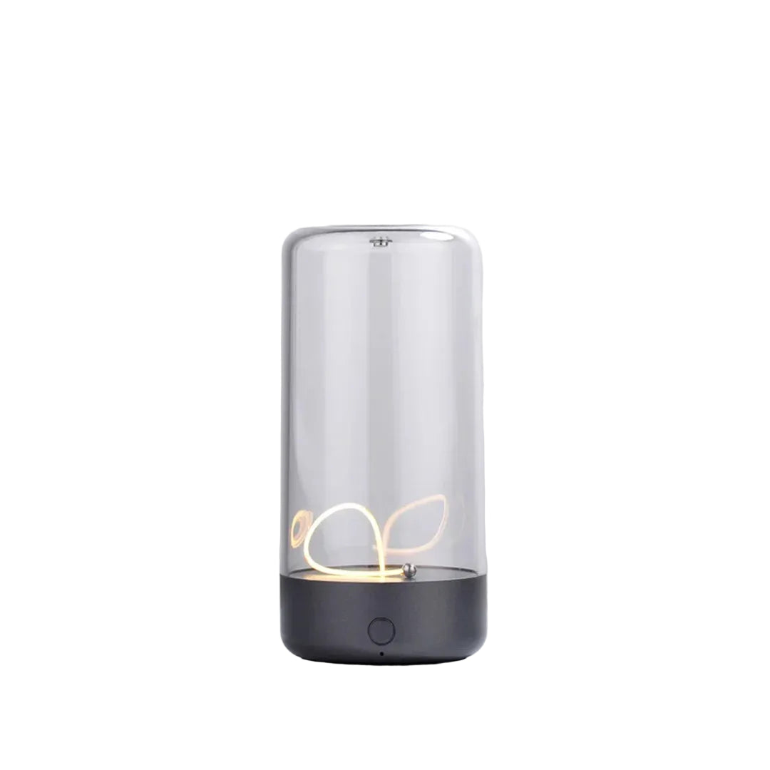 Portable Magnetic Quantum Ambient LED Light